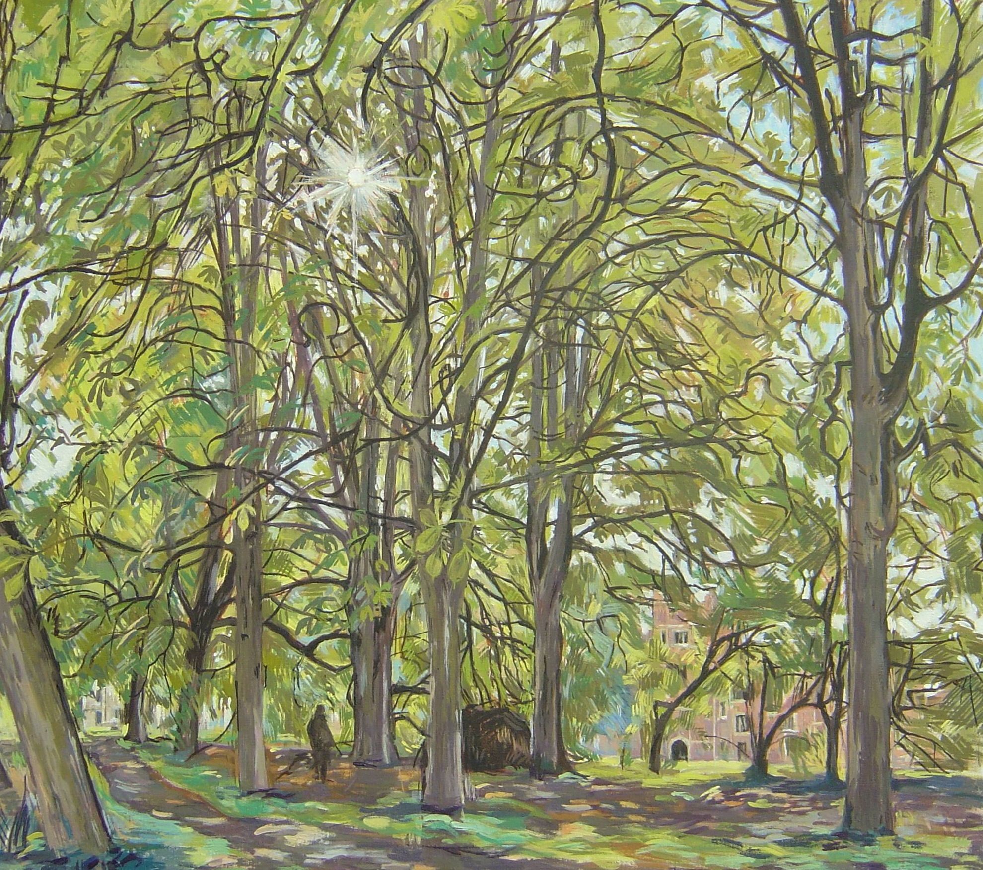 Lofty Trees